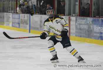 Gaylord hockey defeats Sault Ste. Marie to claim regional title - Petoskey News-Review