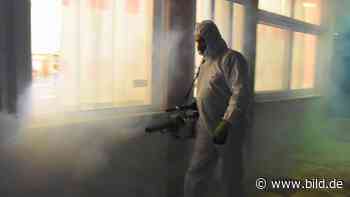 Corona-Krise: Wie der Staat die Wirtschaft retten kann - BILD