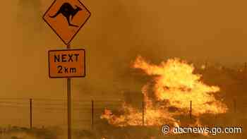 Hotter climate upped risk of Australia's record fires by 30%
