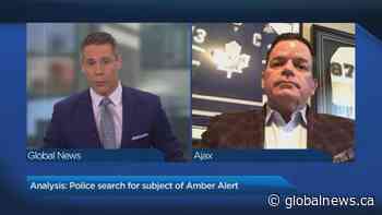 Toronto teen found safe after Amber Alert | Watch News Videos Online - Globalnews.ca