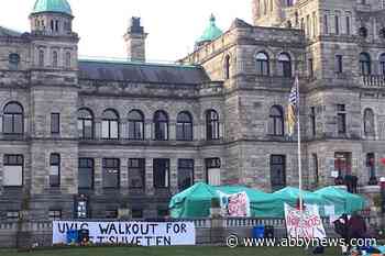 Pipeline protesters planned B.C. legislature occupation, minister says - Abbotsford News