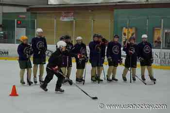 Culture & Coaching Tips with Grace Hoene - USA Hockey