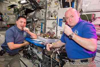 Space Lettuce – Growing Nutritious and Safe Crops for Long-Distance Space Missions