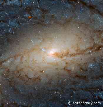 A Galactic Traffic Jam in “The Cup” Over 60 Million Light-Years Away