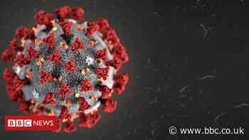 Coronavirus to get notifiable status in Wales to help firms cover losses - BBC News