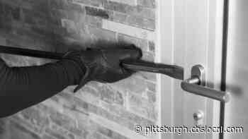 Suspect From Monroeville Burglaries Arrested In Butler County