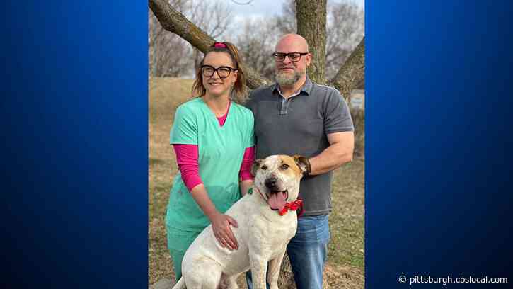 A Dog Passed Over At A Shelter For Five Years Has Finally Found A Home