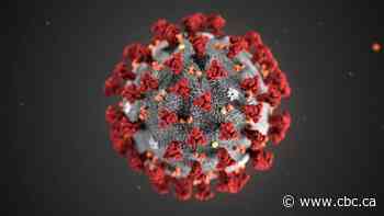 How coronavirus testing works in Alberta