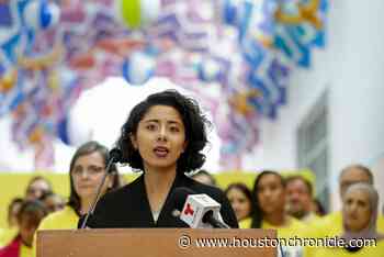 Houston fights risk of undercounting in the U.S. Census - Houston Chronicle