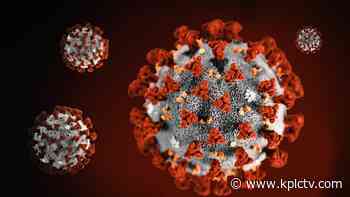 Public health says three cases of travel-related coronavirus in greater Houston area - KPLC