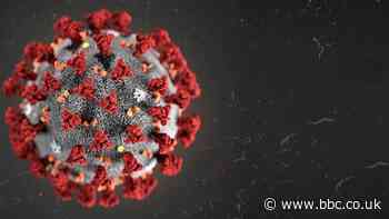 Coronafeirws: Gwasanaeth symptomau newydd