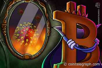 ‘Bitcoin Coronavirus’ Search Traffic Overtakes ‘Bitcoin Halving’