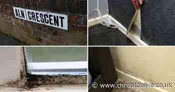 Fawdon mum 'constantly ill' in damp flat where rain 'pours through' closed window