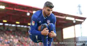 The sparkling Cardiff City player ratings as 'ugly' striker produces masterclass in Barnsley win