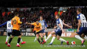 Graham Potter says Brighton deserved their point at Wolves