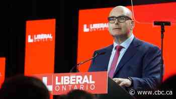 Former cabinet minister Steven Del Duca elected new Ontario Liberal leader