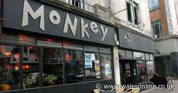 The chequered history of Swansea's famous alternative Monkey club