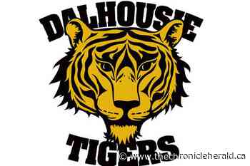 U SPORTS FINAL 8: Dal defeats Ottawa, moves on to semifinals - TheChronicleHerald.ca