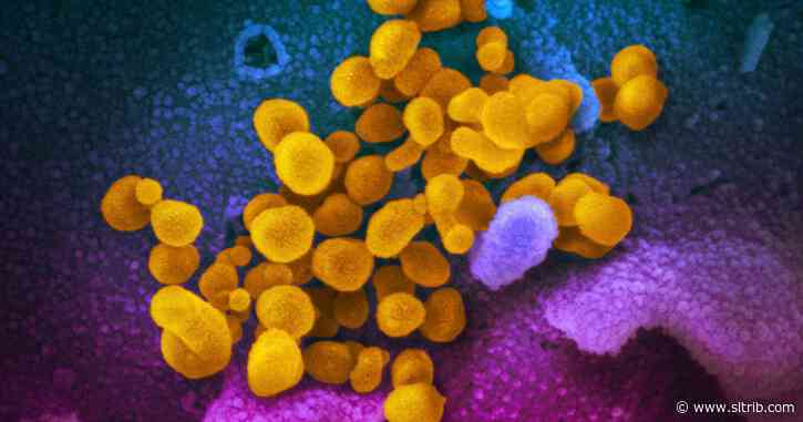 Search is on for those who came into contact with Utah coronavirus victim; officials say ‘community spread’ is likely