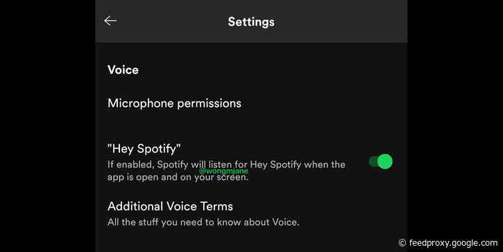 ‘Hey Spotify’ voice activation in testing; more evidence of hardware plans