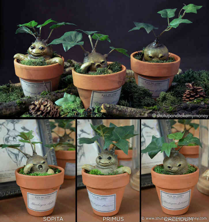 Harry Potter Inspired Mandrake Planters