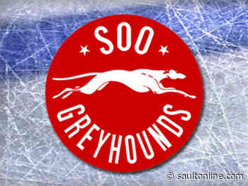 Hounds Pick Up Valuable Points Against Kingston