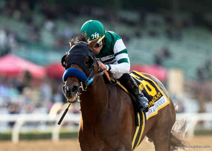 Whicker: Combatant relieves ailing Gift Box, wins another Big ‘Cap for Sadler