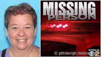 Missing Woman Found Dead In Millvale