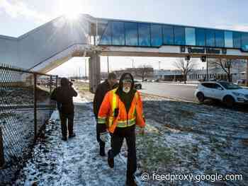 What are plant awards worth, anyway?