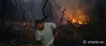 Incendio afecta 25 hectáreas en Apastepeque, San Vicente - Diario Digital Cronio de El Salvador