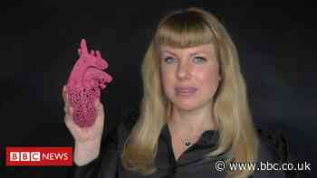 The woman creating art with human stem cells