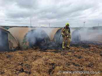 Pig pen sets on fire in the most bizarre way