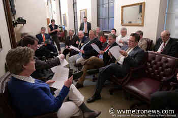 Medical marijuana bill is pulled from House agenda on Day 60, stirring conflict - WV MetroNews - West Virginia MetroNews