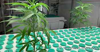 Local News 'Hijacked' medical cannabis bill passes Utah House Ben Winslow 5:51 PM, Mar 06 - fox13now.com