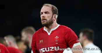 Ex-England fly-half Stuart Barnes launches extraordinary personal attack on Wales captain Alun Wyn Jones