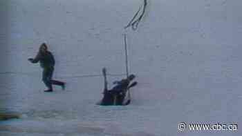 The N.L. moose who fell through the North Atlantic ice and lived