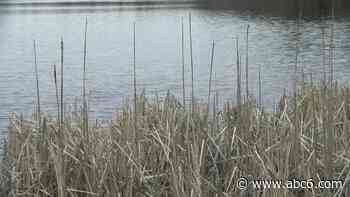 Trend of Warm Winters Affecting Bodies of Water Across Rhode Island - WLNE-TV (ABC6)