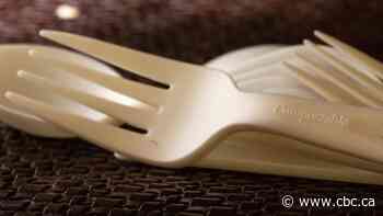 Bioplastics 101, ultimatum to wireless carriers: CBC's Marketplace cheat sheet