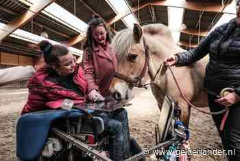 Er lijkt wel een klik tussen Litania en Daantje