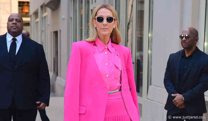 Celine Dion Wears a Skirt with Pants for Her Full Pink Look