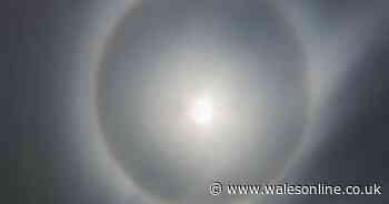 Stunning photo captures rare moon halo in sky over Wales