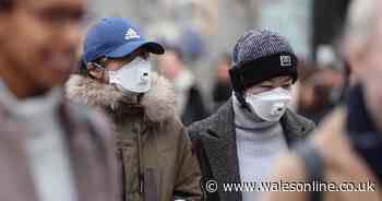 Cases of coronavirus in the UK jump by more than 60 in 24 hours