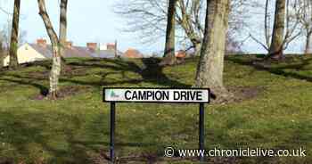 Woman's dog scares off man who attempted to assault her near Stanley