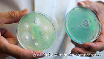 Künstliche Intelligenz entdeckt neues hoch wirksames Antibiotikum