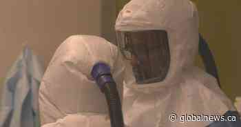 Ferrets, a Saskatoon lab and the leading edge of the race for a coronavirus vaccine - Global News