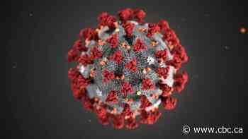 Ontario confirms new case of COVID-19, bringing total to 29