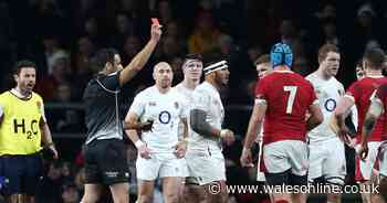 The unknown rugby rule that explains why Manu Tuilagi had to be sent off and why Eddie Jones was so wrong