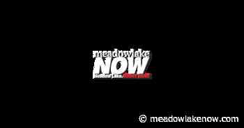 Police seeking suspects after abducted Toronto teen found safe, police say - meadowlakeNOW