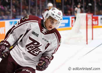 Toronto Maple Leafs Top Prospect Achieves Amazing Feat - Editor In Leaf