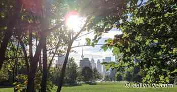 Toronto named 6th happiest city in the world: report | News - Daily Hive